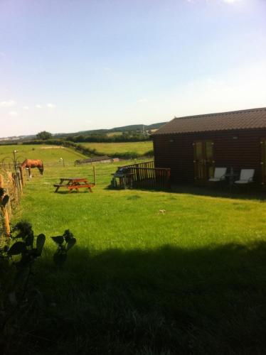 a field with a barn and a horse in the background at FAIRVIEW FARM Holiday Accommodation 14 Luxury Lodges, Cabins, Dog Friendly, Suitable for Couples, Families and Groups, Wedding Guests , Corporate events, Sleeps 2-65 guests in Ravenshead, Nottingham near Sherwood Forest, set in 88 acres in Nottingham