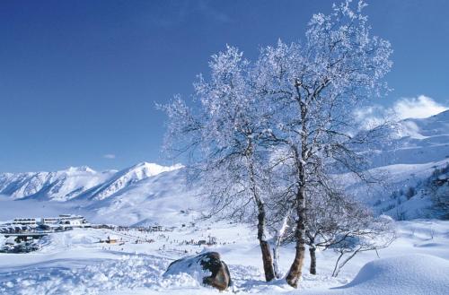a tree in the snow with mountains in the background at Résidence Azureva Piau Engaly in Aragnouet