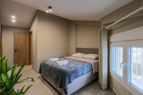 Rigel Apartments 5