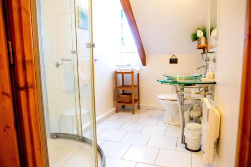 a bathroom with a shower and a toilet at Domaine de la Croix Tibi in Guilly
