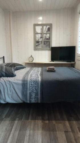 a bedroom with a bed and a flat screen tv at Chambre d'hôtes du Cerisier in Noyers