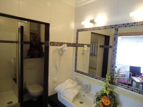 a bathroom with a sink and a toilet and a mirror at Hotel Lenauhof in Bad Birnbach