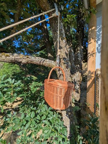 Κήπος έξω από το "La cabane", la roseraie de Zoubiroux