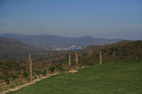 a vineyard in a field with mountains in the background at Sa Perafita - MF in Cadaqués