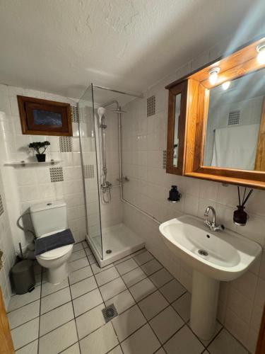 Un baño con inodoro, lavabo y ducha. en Hygge House, en Arachova