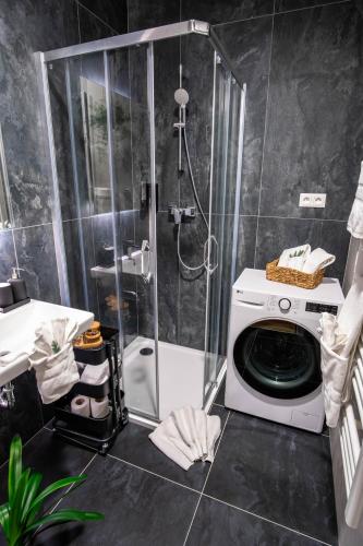 a shower with a washing machine in a bathroom at Sweet Embrace in Brno