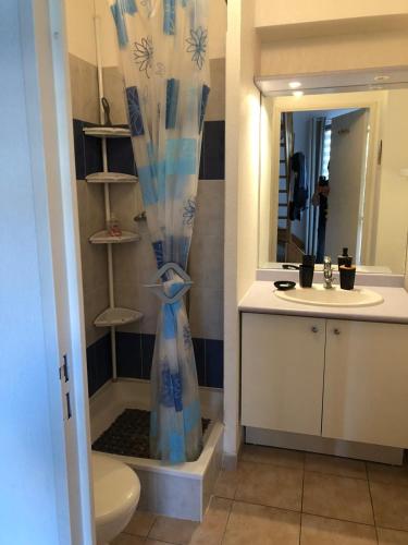 a bathroom with a shower and a toilet and a sink at Au petit bonheur in Calvisson