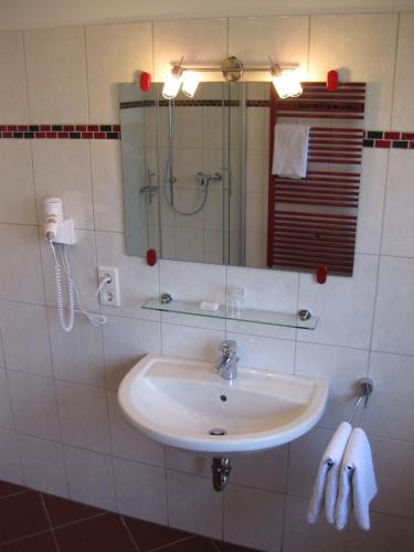 a bathroom with a sink and a shower and a mirror at Hotel-Café "Schauinsland" in Horn-Bad Meinberg