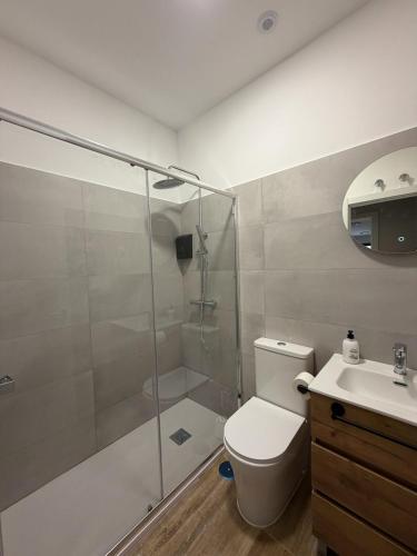 a bathroom with a shower and a toilet and a sink at Hostal Alcorcón in Alcorcón