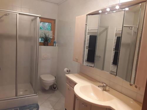 Ένα μπάνιο στο Ferienwohnung Kagerbauer Christiane