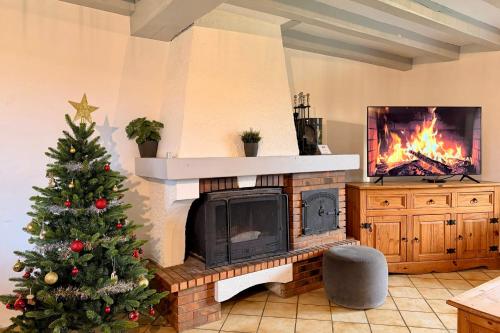 a christmas tree in a living room with a fireplace at La Gravière in Fontenay-Trésigny