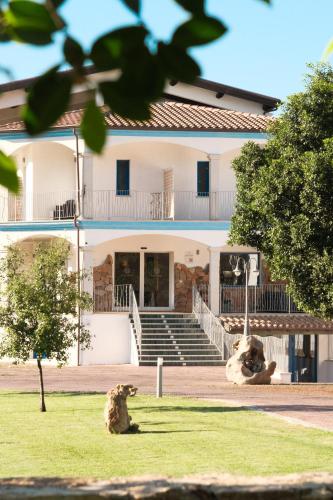 a dog sitting in the grass in front of a building at Hotel Borgo Albador in Posada