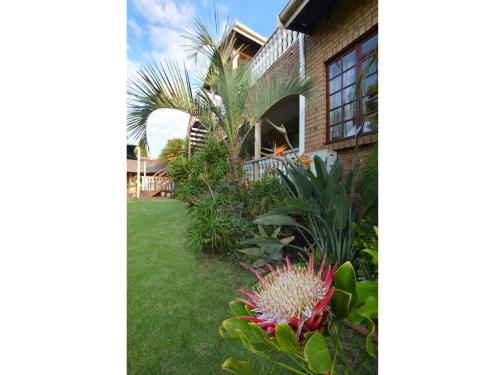 Kairos Home في ميدلبرغ: منظر للفناء الأمامي لمنزل به نباتات