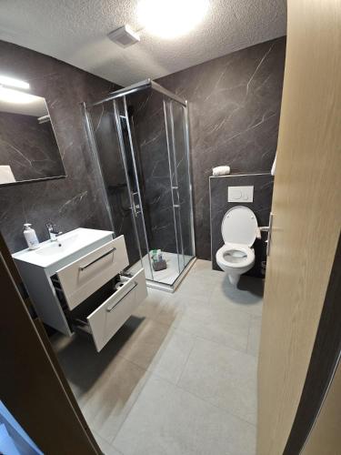 a bathroom with a shower and a toilet and a sink at Chalet Graben - Aare Jungfrau AG in Grindelwald