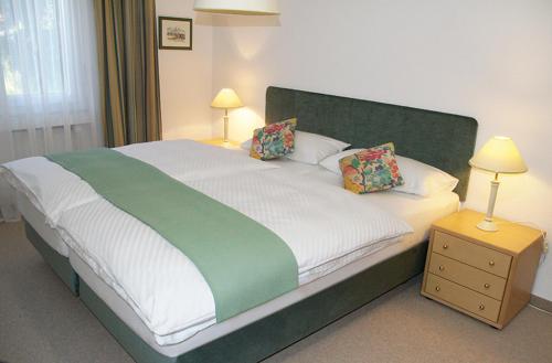 Ένα ή περισσότερα κρεβάτια σε δωμάτιο στο Apartment Piz Mundaun