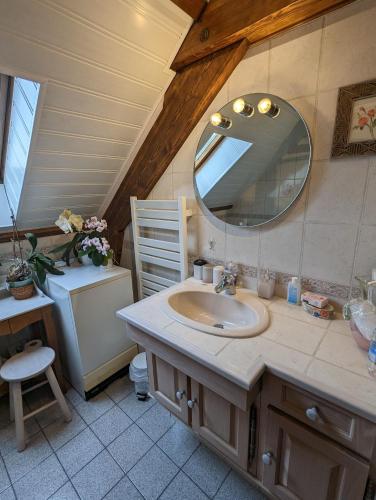 a bathroom with a sink and a mirror at Chambres d'Hôtes Bagatelle in Vannes-sur-Cosson