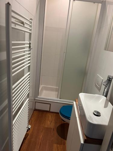 een badkamer met een douche en een witte wastafel bij Demer in Aarschot