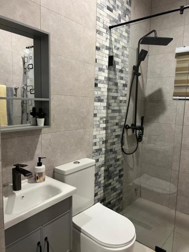 a bathroom with a toilet and a sink and a shower at Maison Aria in Madina