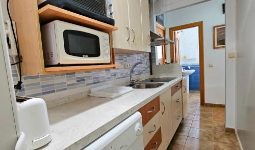 a kitchen with a sink and a microwave at Apartamentos Wily y Mavi in San José