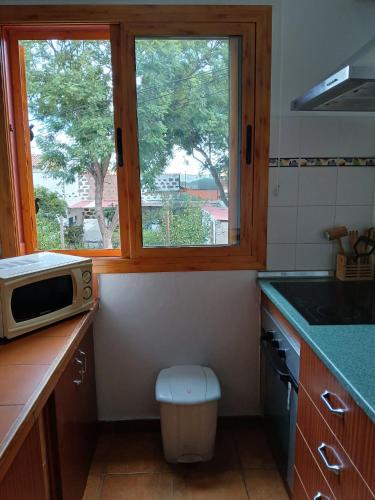 a kitchen with a microwave and a window in it at Casa Rural Carmita in Vega de San Mateo
