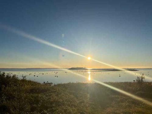 a large body of water with birds on it at Holiday Home With Outdoor Pool, Great Location in Hornsved