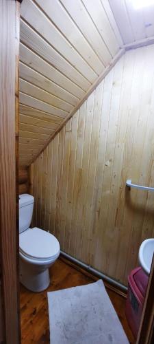 a bathroom with a toilet in a wooden wall at Гукливчик in Huklyvyy