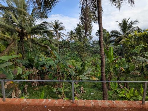 Κήπος έξω από το Silent Stays