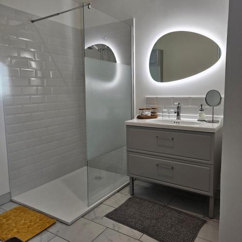 a bathroom with a shower with a sink and a mirror at Chambre Cheverny, Casa 103 in Messas