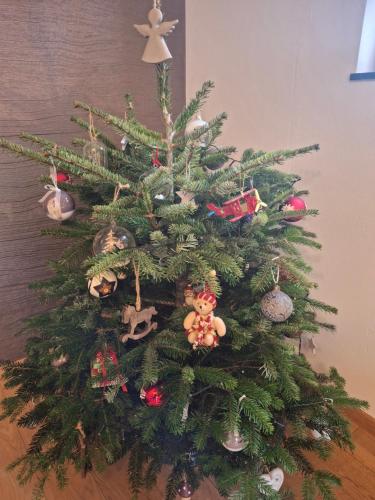 Fotografie z fotogalerie ubytování B&B Caprice d'Epices v destinaci Francorchamps