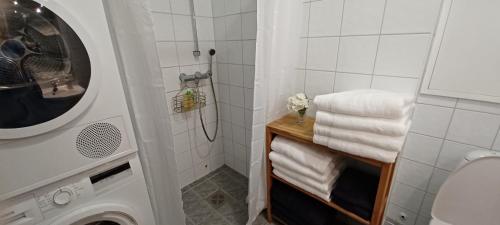 a bathroom with a shower and a washing machine at Central apartment with 2 bedrooms in Tromsø