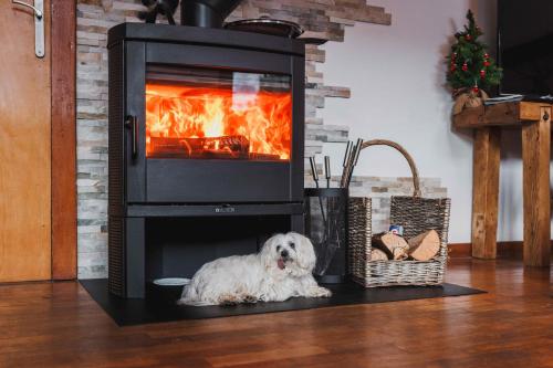 Domácí mazlíčci ubytovaní s hosty v ubytování Maison 3 étoiles entre Pistes et Centre-Ville, Billiard, Ping-Pong, PS3, Cheminée, BBQ, Animaux admis