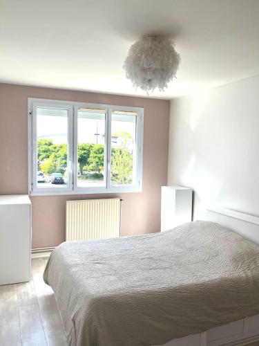 Un dormitorio con una cama grande y dos ventanas. en Charmant T3 à Angers - parking gratuit, en Angers