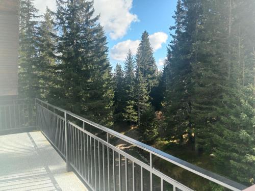 einen Balkon mit Blick auf einige Bäume in der Unterkunft La Costel Rânca in Baia de Fier