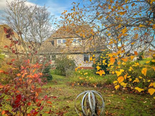a garden in front of a house with autumn leaves at Eldorado Ferienwohnungen in Norddorf