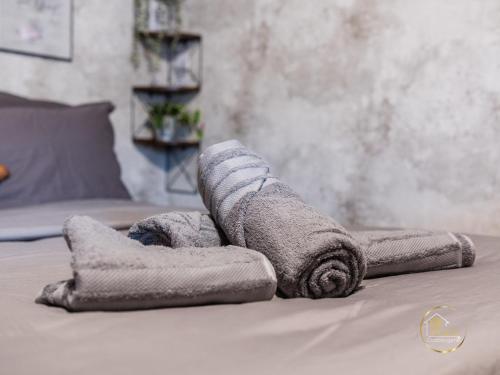 Cozy studio La Fabrique balcony & free parking