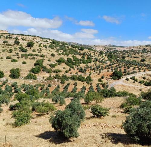 Příroda nedaleko prázdninového domu