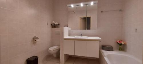 a bathroom with a sink and a toilet and a mirror at Botticelli in Koksijde