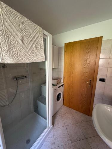 a bathroom with a shower and a toilet and a sink at Appartamento Fontane in Panchia