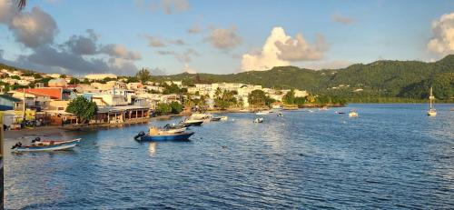 アパートメントの近くで見られる自然の景観