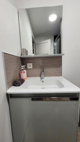 a bathroom with a sink and a mirror at Naova Cosy Studio in Kaysersberg