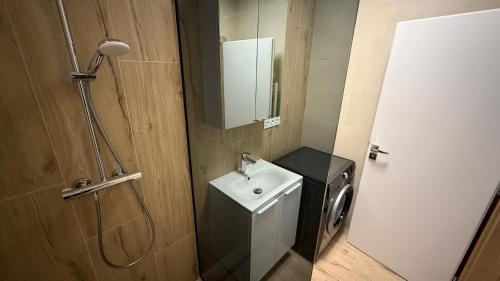 Ένα μπάνιο στο 1 room apartment with garden, Nálepková