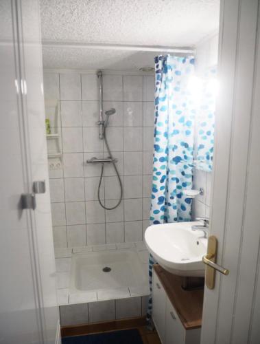 a bathroom with a shower and a sink at Le Jungforst in Buhl-Lorraine
