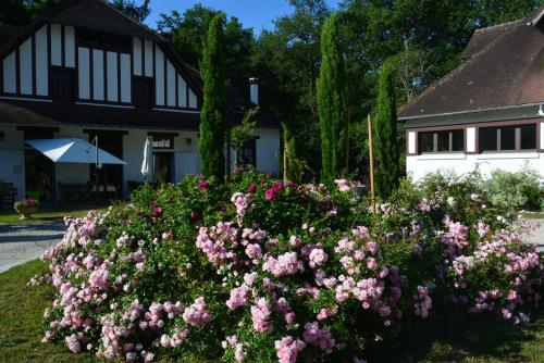 Afbeelding uit fotogalerij van Chambre d'hôtes "Perle", Communs de Bon Hôtel in Ligny-le-Ribault