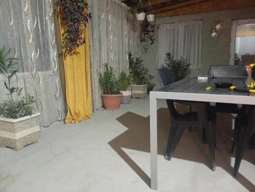 Un patio sau altă zonă în aer liber la Casa Camelia