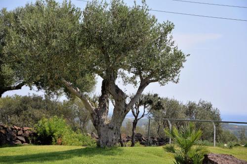 Casa La Vela – Photos 5