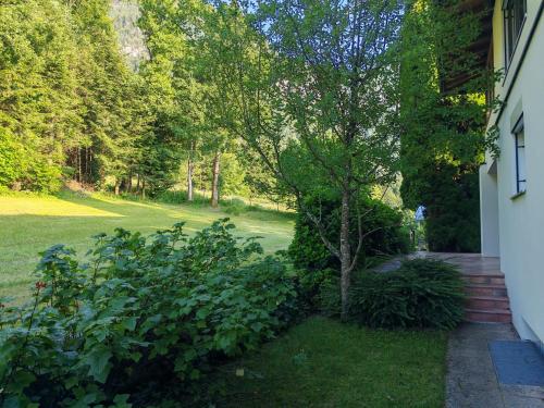 un arbre dans une cour à côté d'une maison dans l'établissement Ferienwohnung Doppelreiter, à Ebbs
