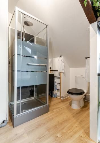 a bathroom with a toilet and a glass cabinet at Le Studio - Centre de Vertou, cosy et calme in Vertou