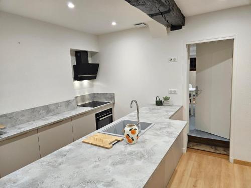 a kitchen with a sink and a counter top at Murmures de la Risle in Pont-Audemer
