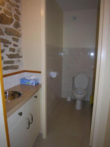 a small bathroom with a toilet and a sink at Gîte lumineux in Auzits