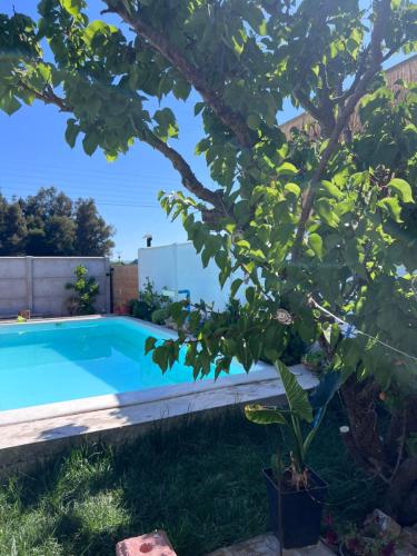 Πισίνα στο ή κοντά στο Casa Maly, valle de apalta, Santa Cruz